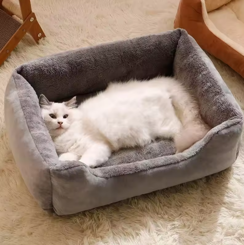 Kivo Comfort Bed
